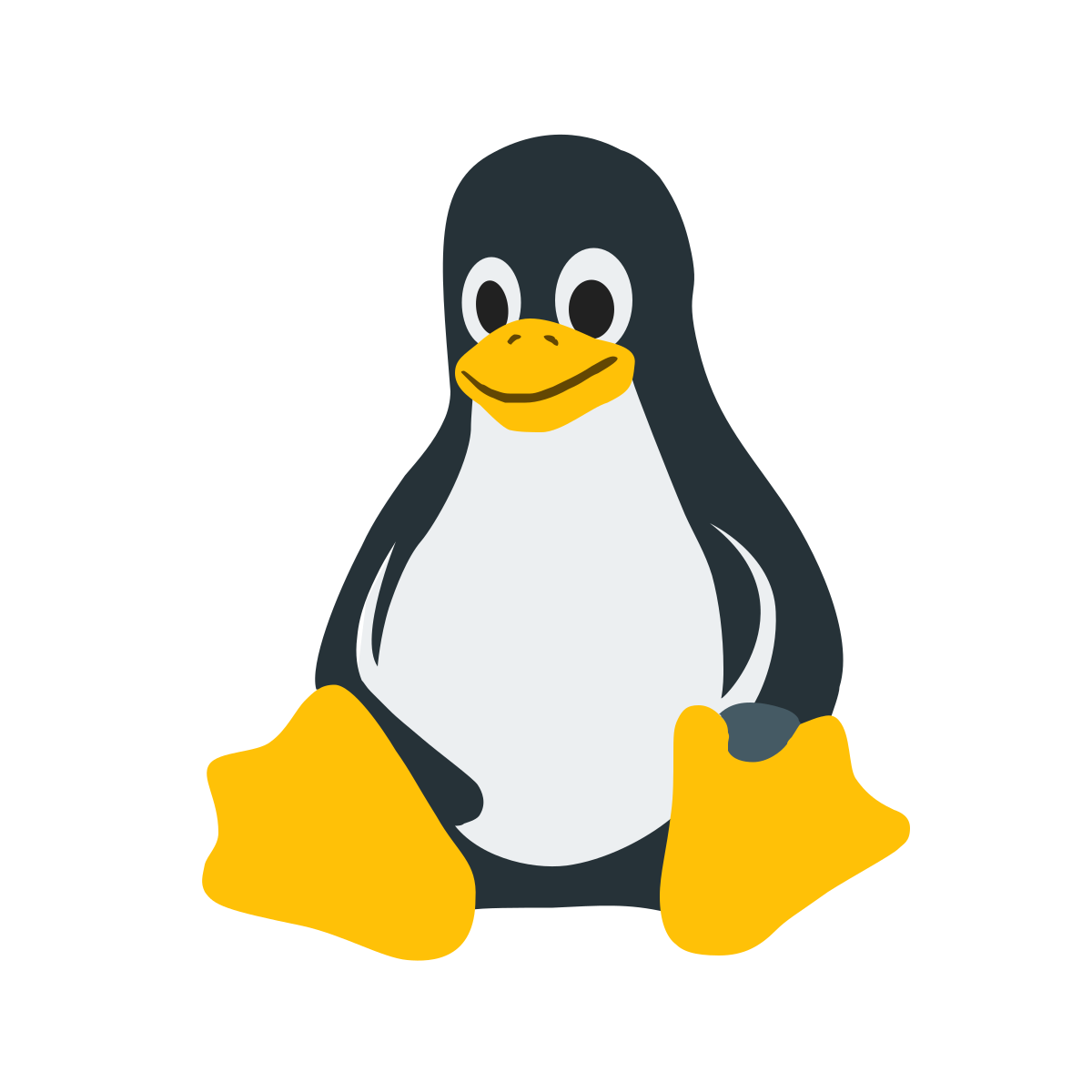 Wireshark Wireshark